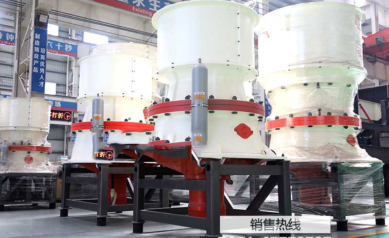 聚焦高端装载机 雷沃工程机械全力满足客户需求